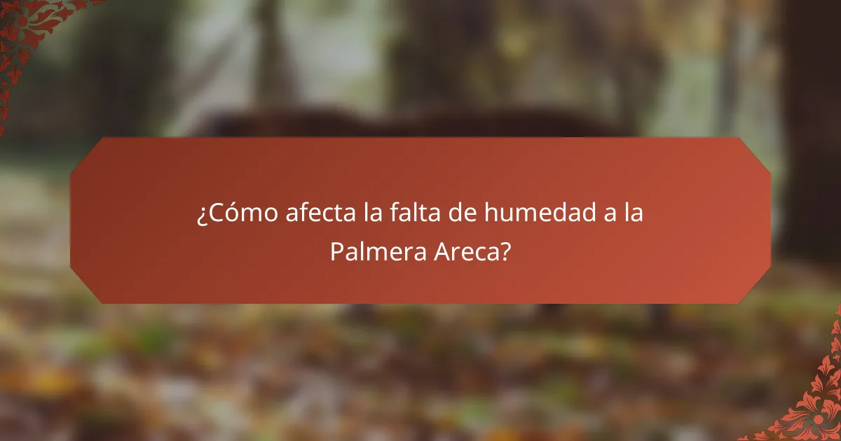 ¿Cómo afecta la falta de humedad a la Palmera Areca?