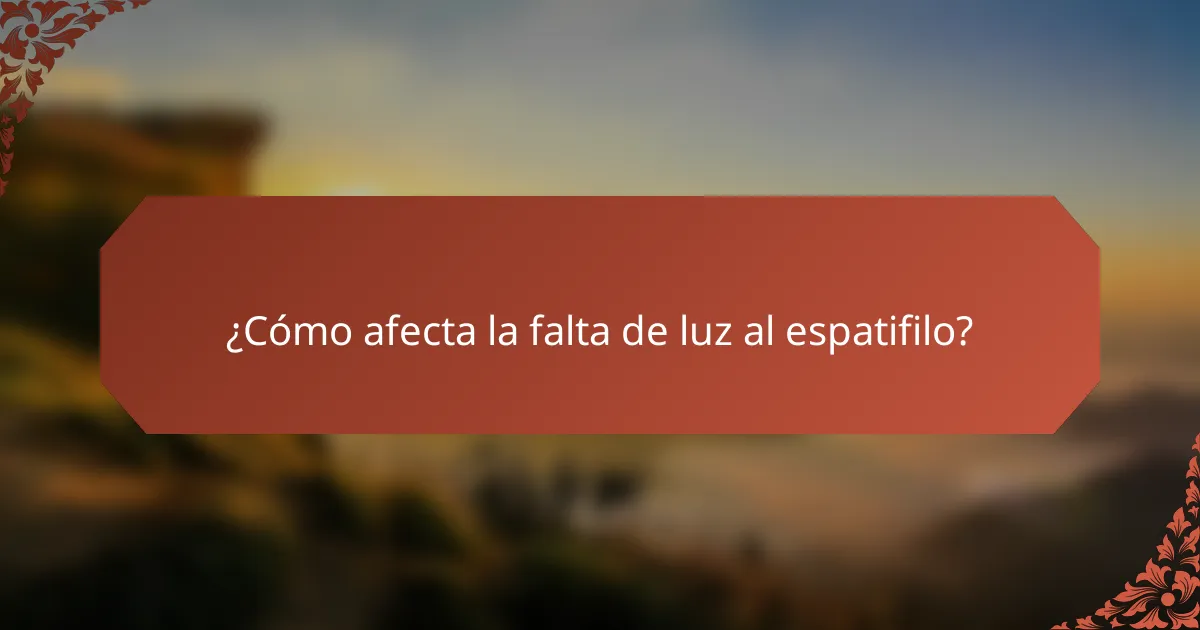 ¿Cómo afecta la falta de luz al espatifilo?