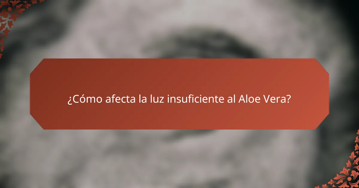 ¿Cómo afecta la luz insuficiente al Aloe Vera?