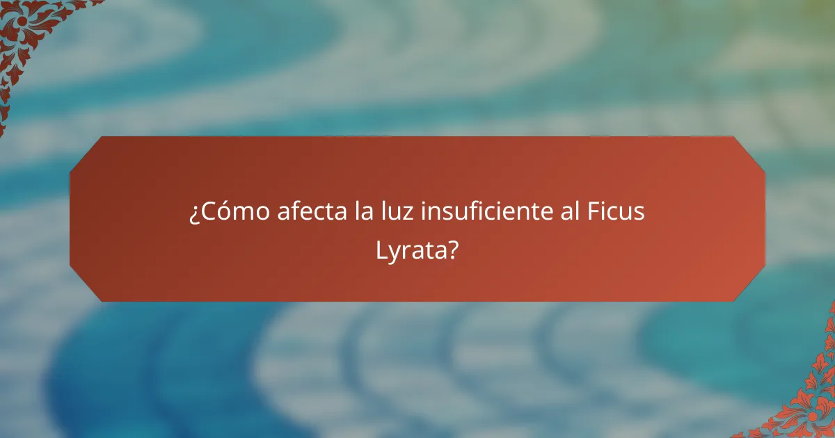 ¿Cómo afecta la luz insuficiente al Ficus Lyrata?