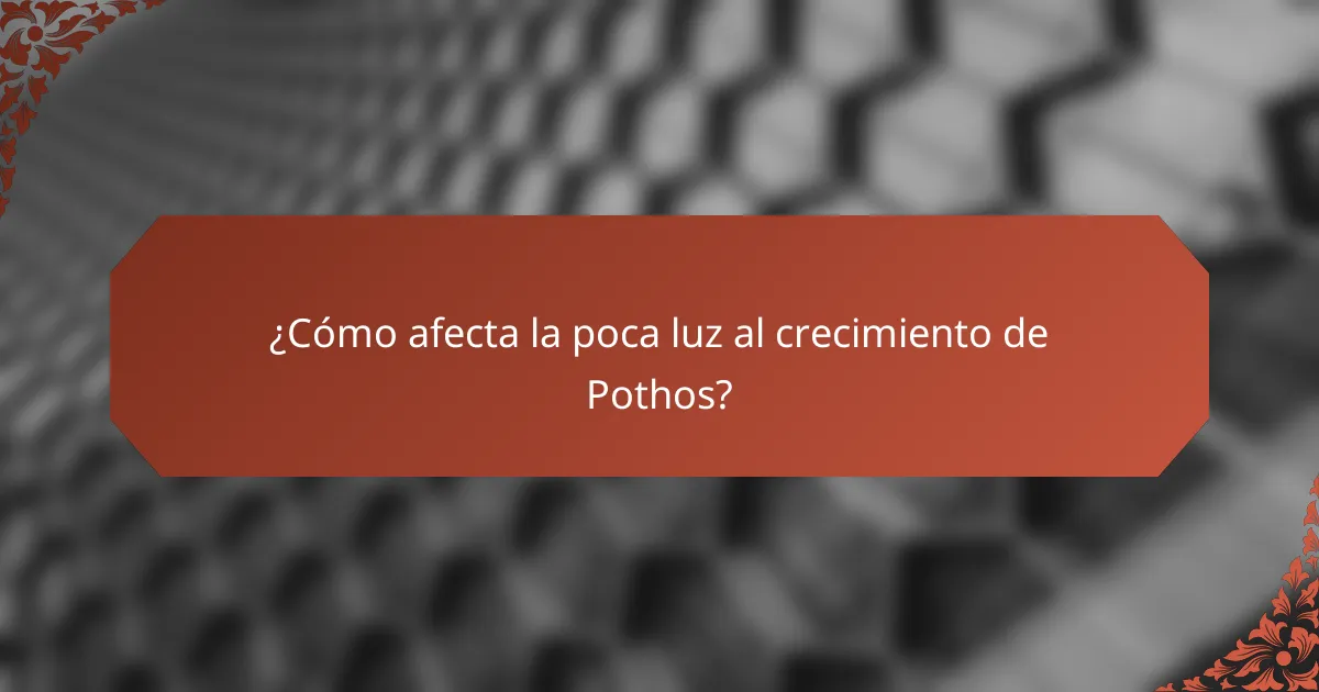 ¿Cómo afecta la poca luz al crecimiento de Pothos?