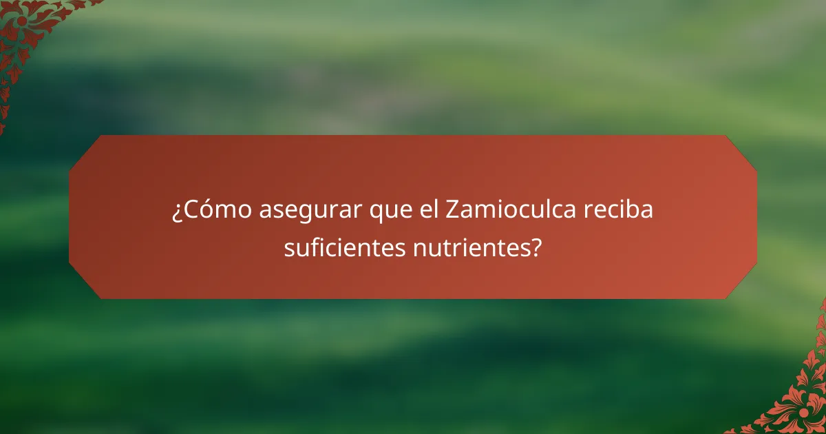 ¿Cómo asegurar que el Zamioculca reciba suficientes nutrientes?