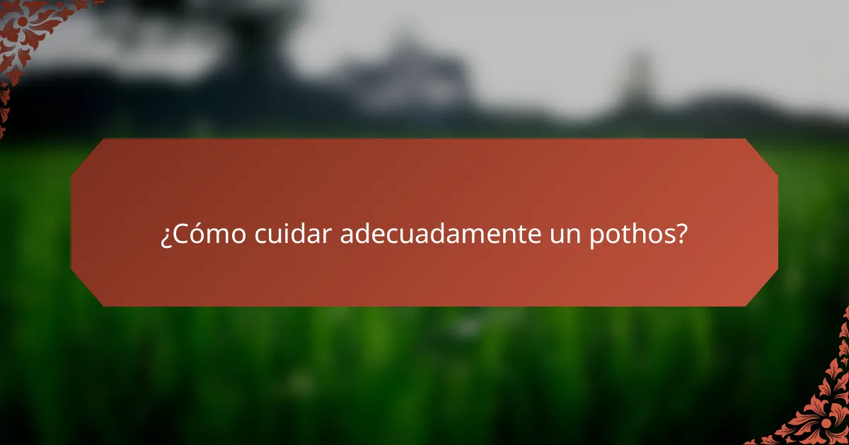 ¿Cómo cuidar adecuadamente un pothos?