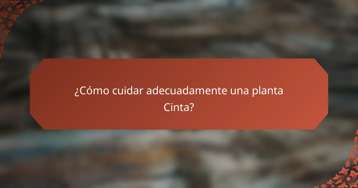 ¿Cómo cuidar adecuadamente una planta Cinta?