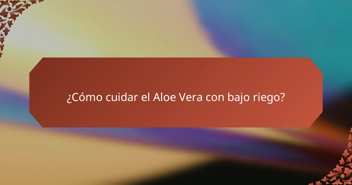 ¿Cómo cuidar el Aloe Vera con bajo riego?