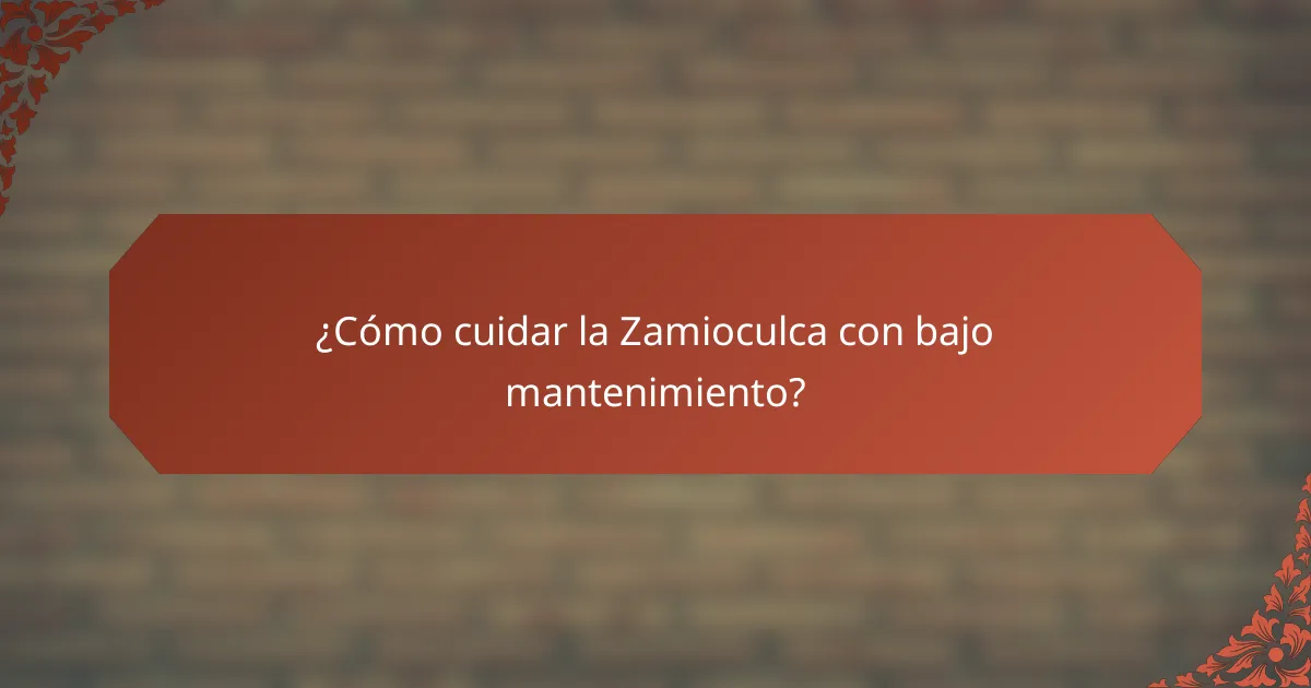 ¿Cómo cuidar la Zamioculca con bajo mantenimiento?