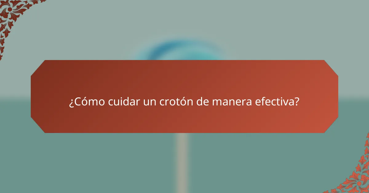 ¿Cómo cuidar un crotón de manera efectiva?