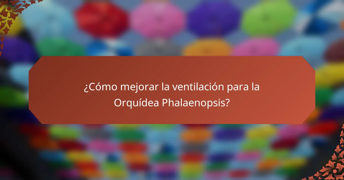 ¿Cómo mejorar la ventilación para la Orquídea Phalaenopsis?