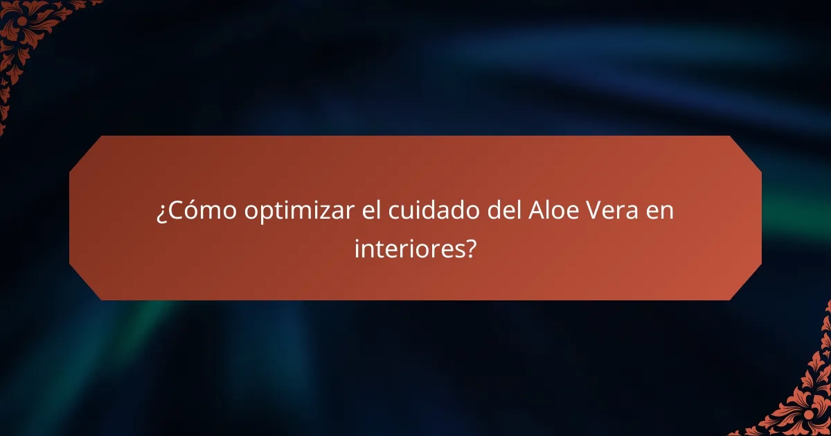¿Cómo optimizar el cuidado del Aloe Vera en interiores?