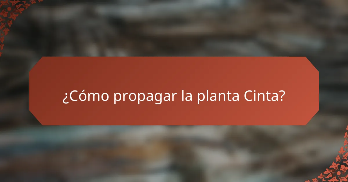 ¿Cómo propagar la planta Cinta?