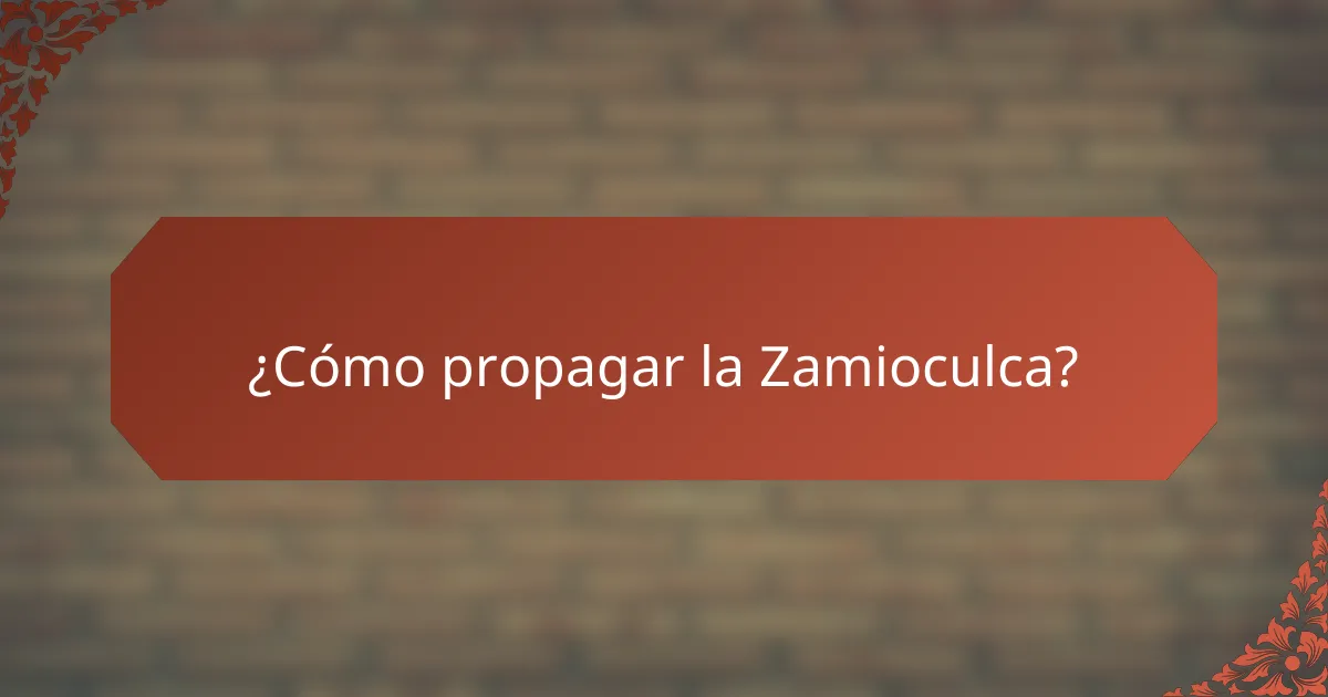 ¿Cómo propagar la Zamioculca?