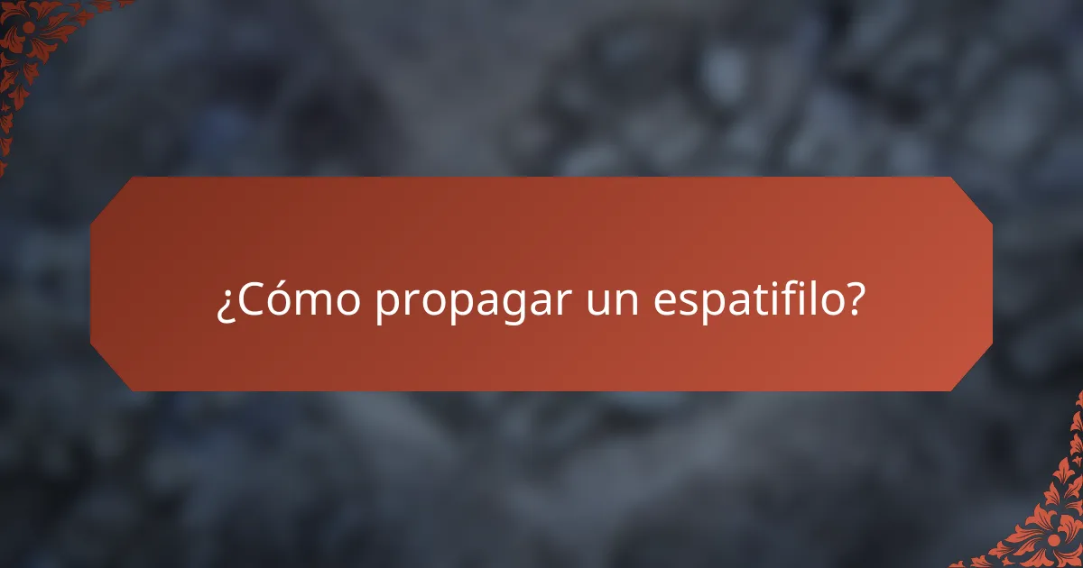 ¿Cómo propagar un espatifilo?