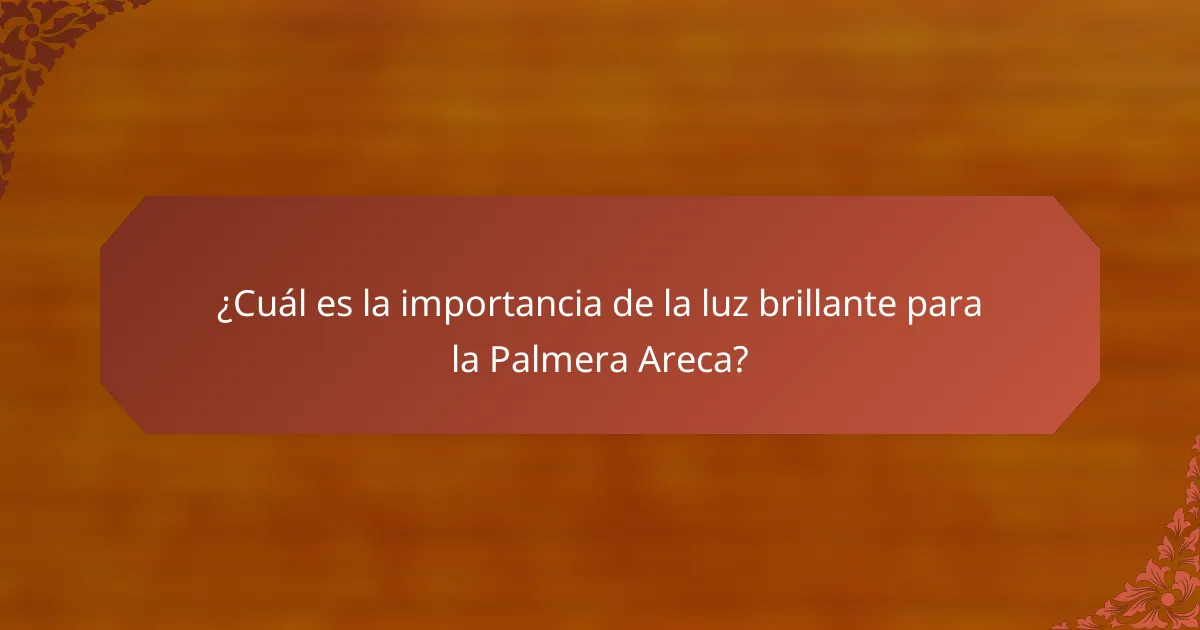 ¿Cuál es la importancia de la luz brillante para la Palmera Areca?