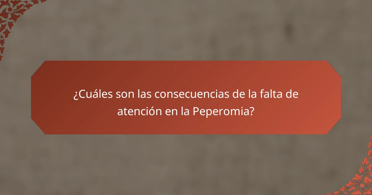 ¿Cuáles son las consecuencias de la falta de atención en la Peperomia?