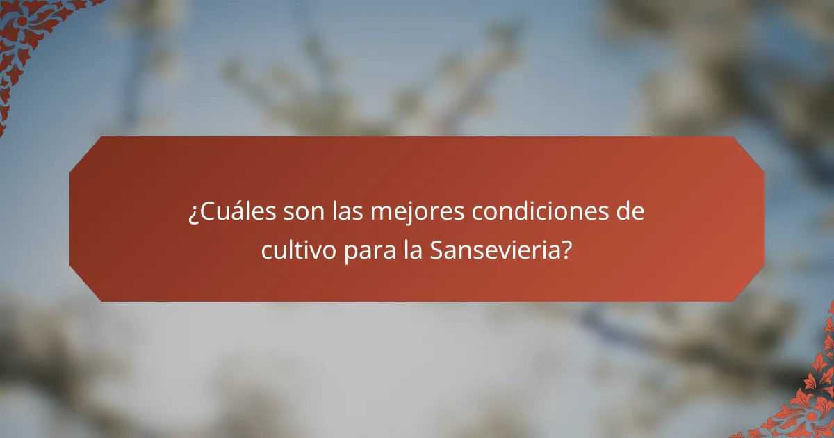 ¿Cuáles son las mejores condiciones de cultivo para la Sansevieria?