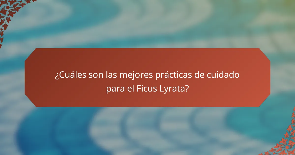 ¿Cuáles son las mejores prácticas de cuidado para el Ficus Lyrata?