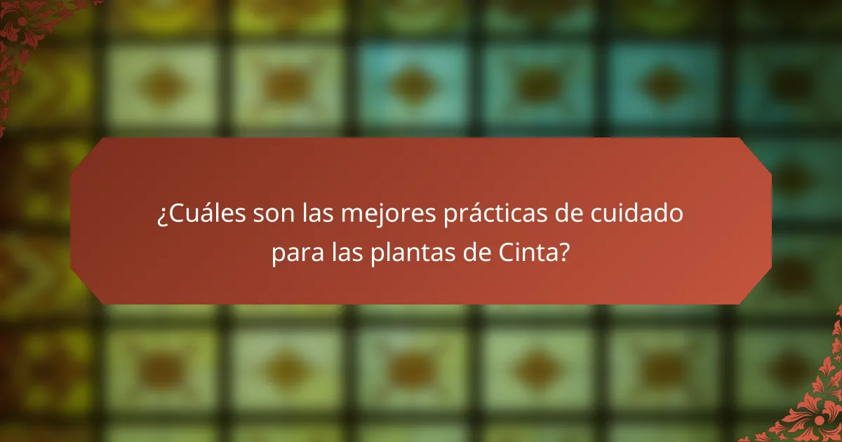 ¿Cuáles son las mejores prácticas de cuidado para las plantas de Cinta?
