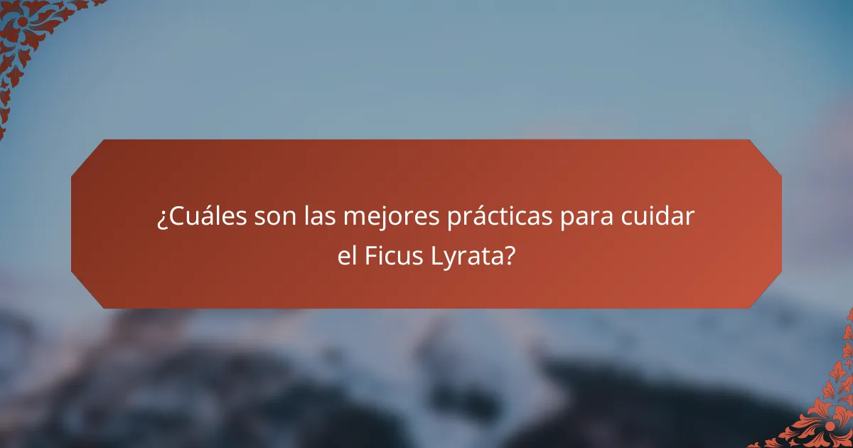 ¿Cuáles son las mejores prácticas para cuidar el Ficus Lyrata?