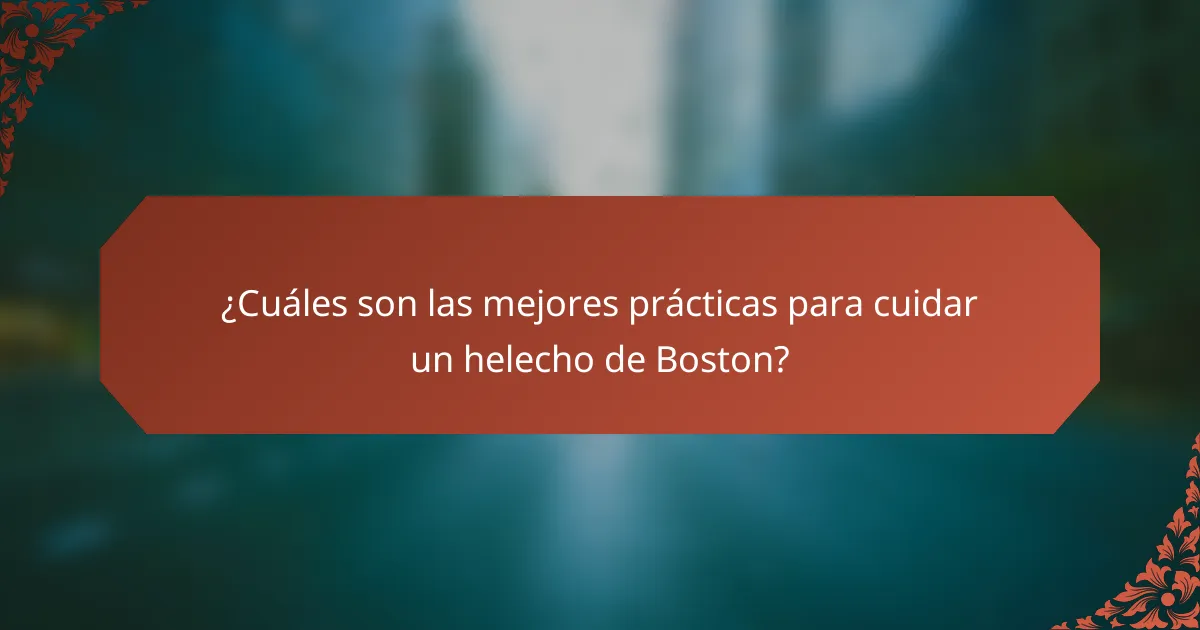 ¿Cuáles son las mejores prácticas para cuidar un helecho de Boston?
