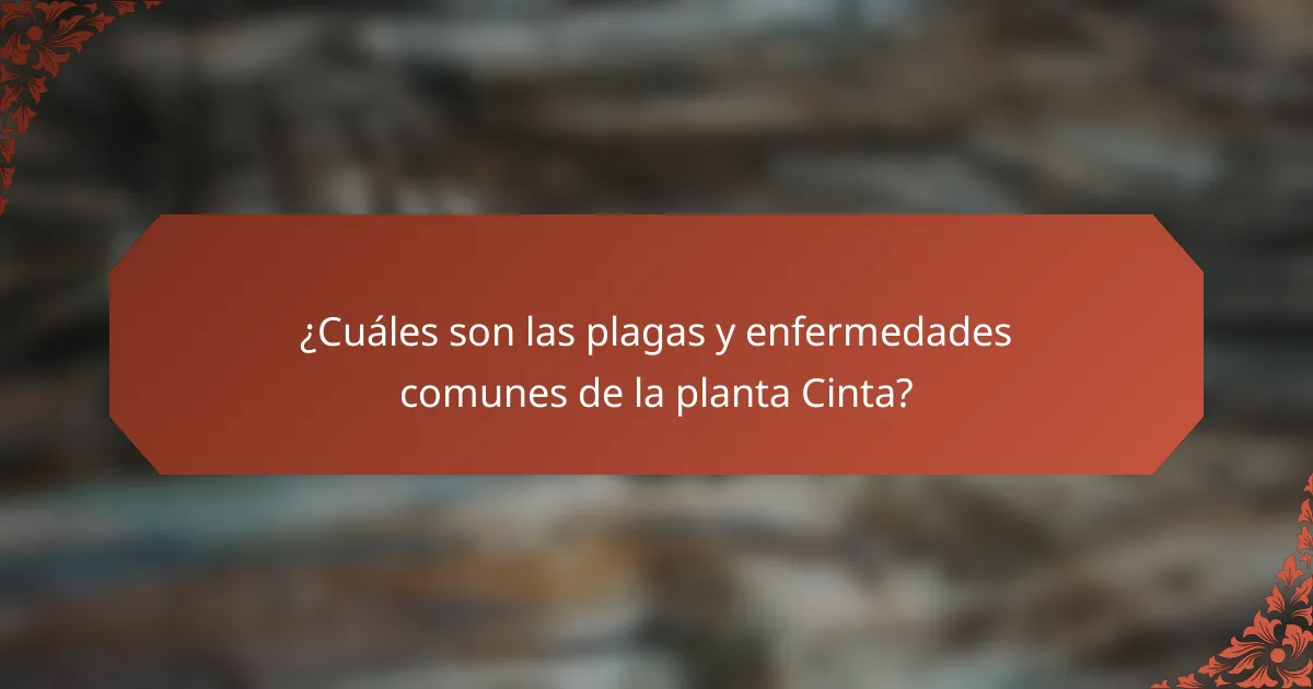 ¿Cuáles son las plagas y enfermedades comunes de la planta Cinta?