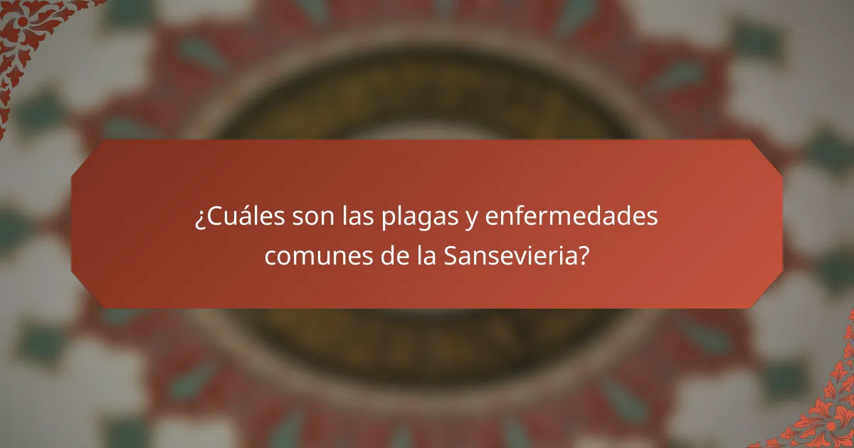 ¿Cuáles son las plagas y enfermedades comunes de la Sansevieria?
