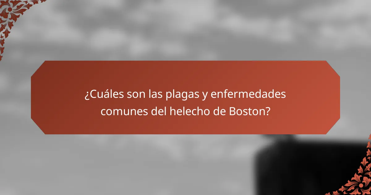 ¿Cuáles son las plagas y enfermedades comunes del helecho de Boston?