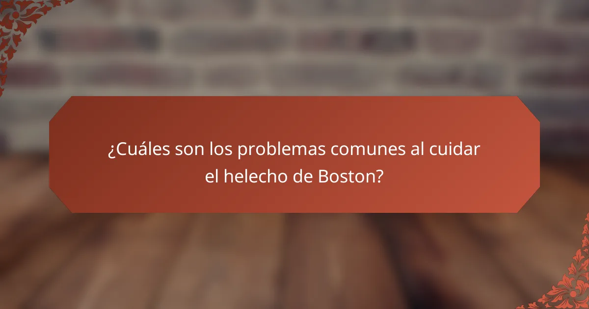 ¿Cuáles son los problemas comunes al cuidar el helecho de Boston?
