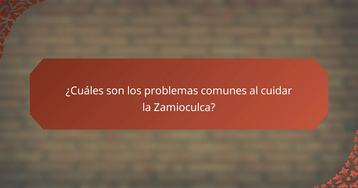 ¿Cuáles son los problemas comunes al cuidar la Zamioculca?