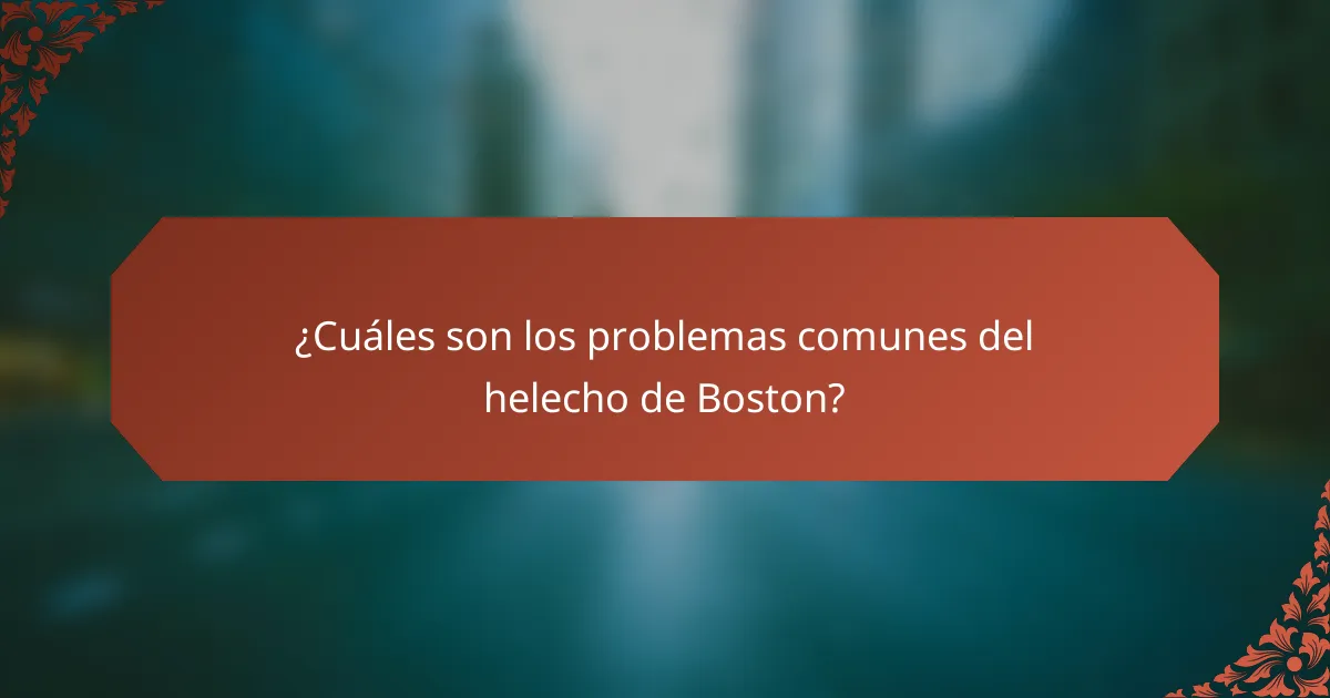 ¿Cuáles son los problemas comunes del helecho de Boston?