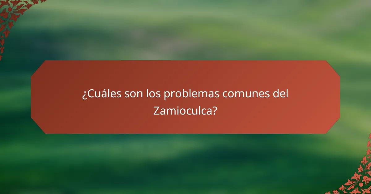 ¿Cuáles son los problemas comunes del Zamioculca?