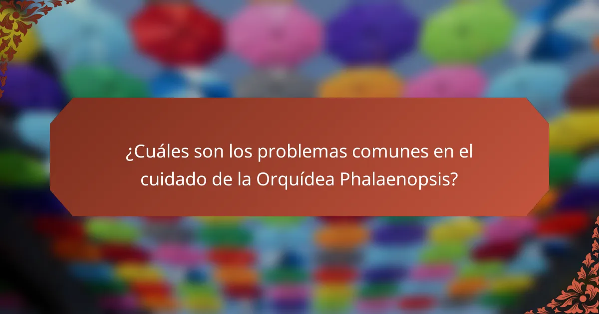 ¿Cuáles son los problemas comunes en el cuidado de la Orquídea Phalaenopsis?