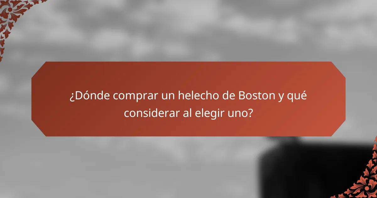¿Dónde comprar un helecho de Boston y qué considerar al elegir uno?