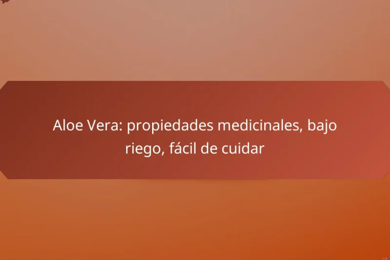 Aloe Vera: propiedades medicinales, bajo riego, fácil de cuidar