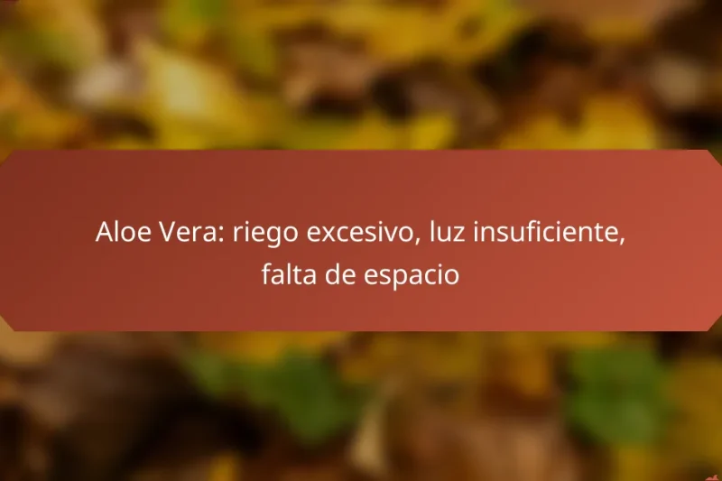 Aloe Vera: riego excesivo, luz insuficiente, falta de espacio
