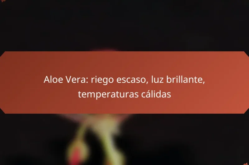 Aloe Vera: riego escaso, luz brillante, temperaturas cálidas