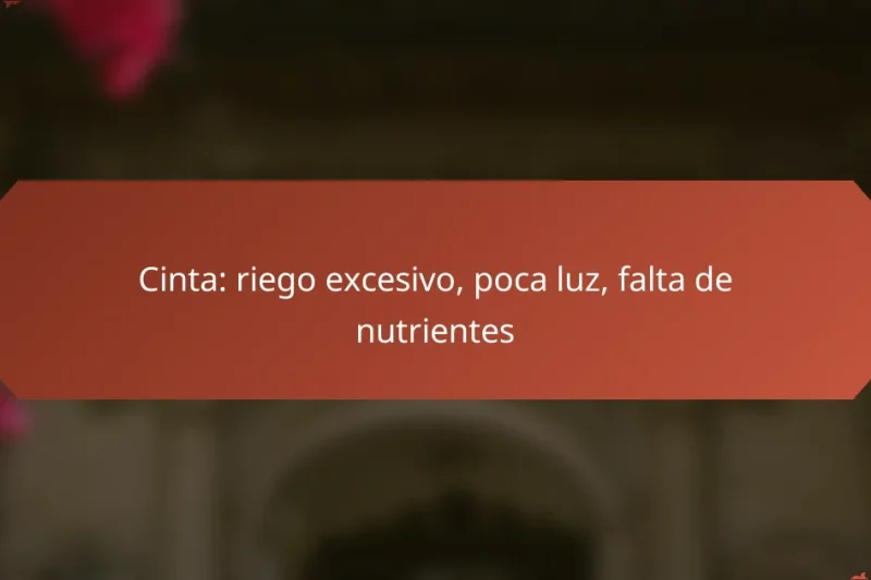 Cinta: riego excesivo, poca luz, falta de nutrientes