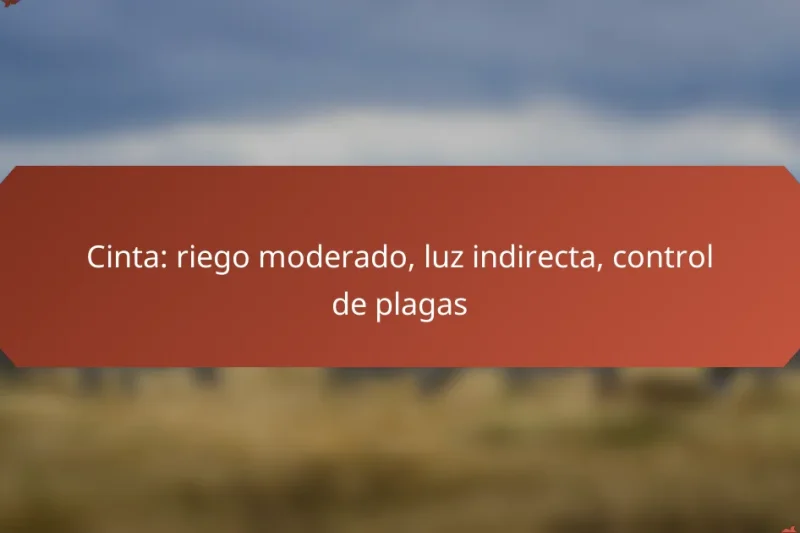 Cinta: riego moderado, luz indirecta, control de plagas