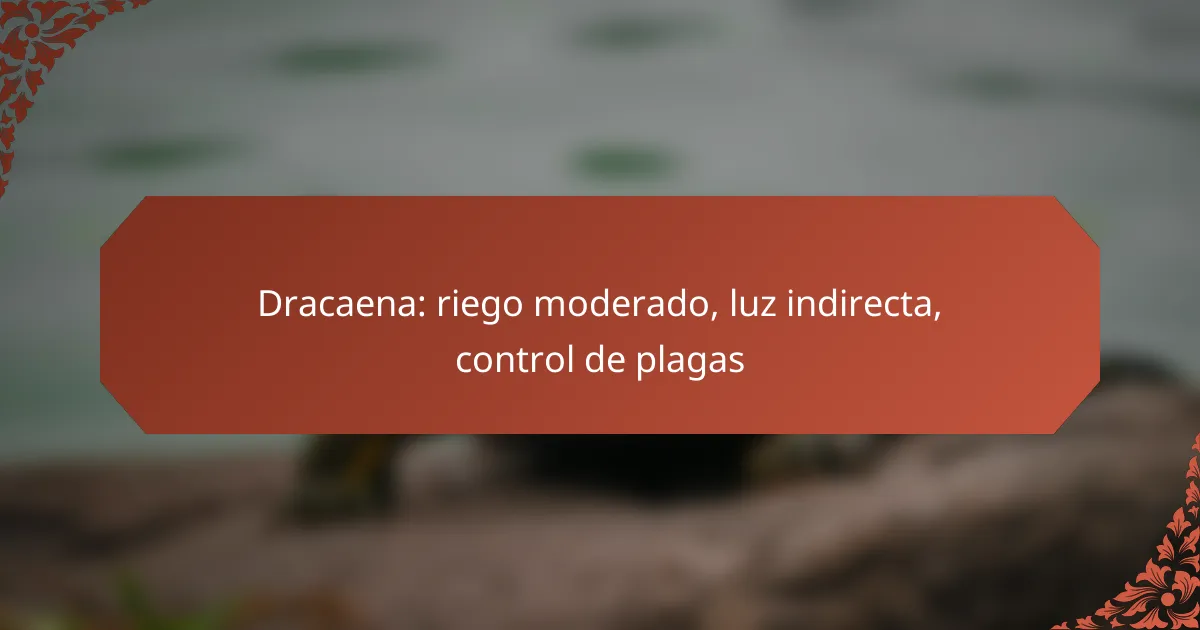 Dracaena: riego moderado, luz indirecta, control de plagas