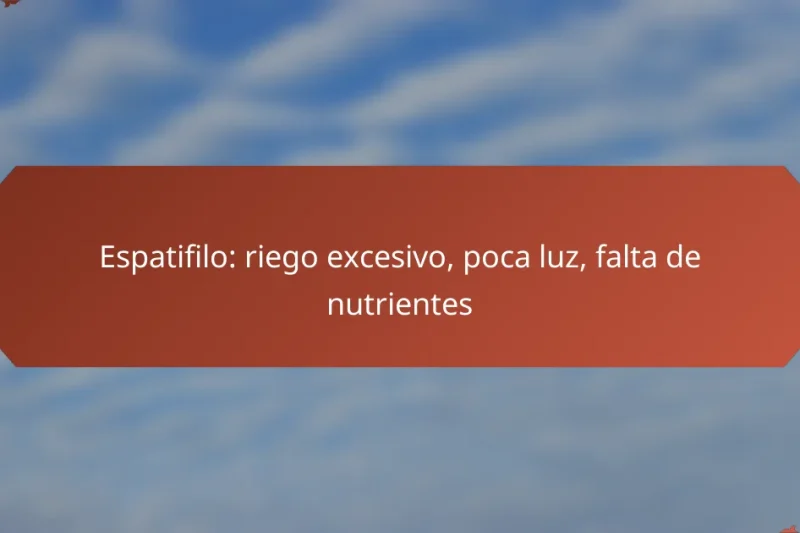 Espatifilo: riego excesivo, poca luz, falta de nutrientes