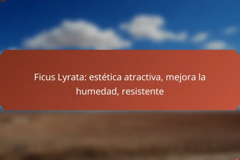 Ficus Lyrata: estética atractiva, mejora la humedad, resistente