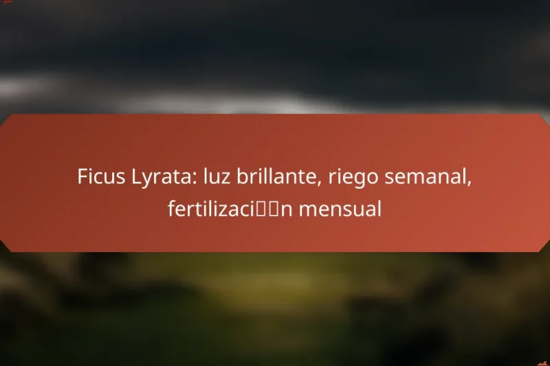 Ficus Lyrata: luz brillante, riego semanal, fertilización mensual