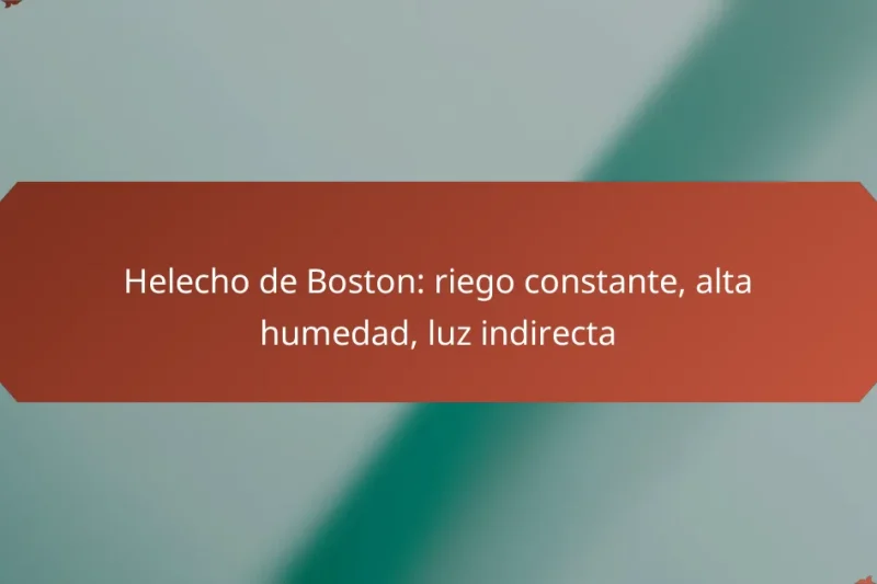 Helecho de Boston: riego constante, alta humedad, luz indirecta