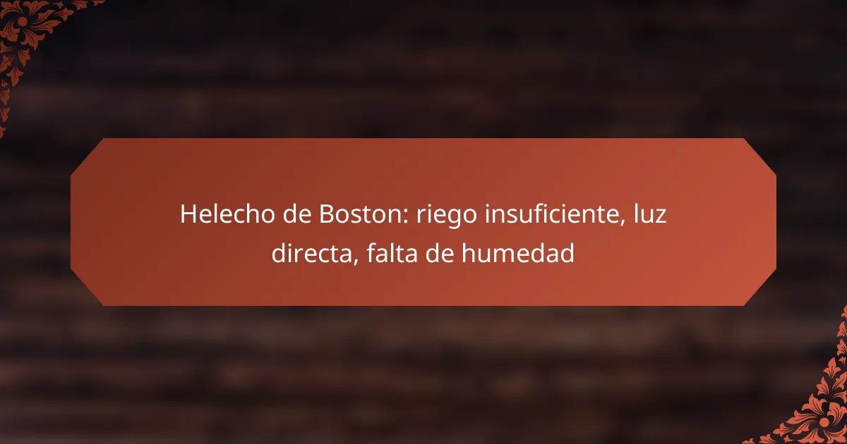 Helecho de Boston: riego insuficiente, luz directa, falta de humedad