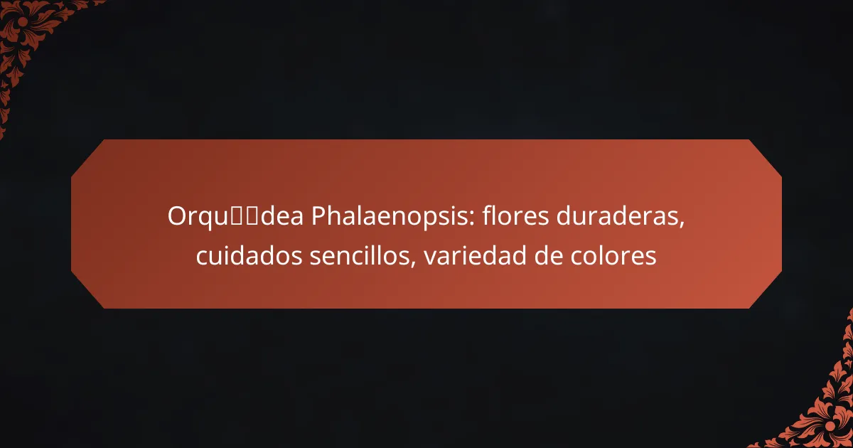 Orquídea Phalaenopsis: flores duraderas, cuidados sencillos, variedad de colores