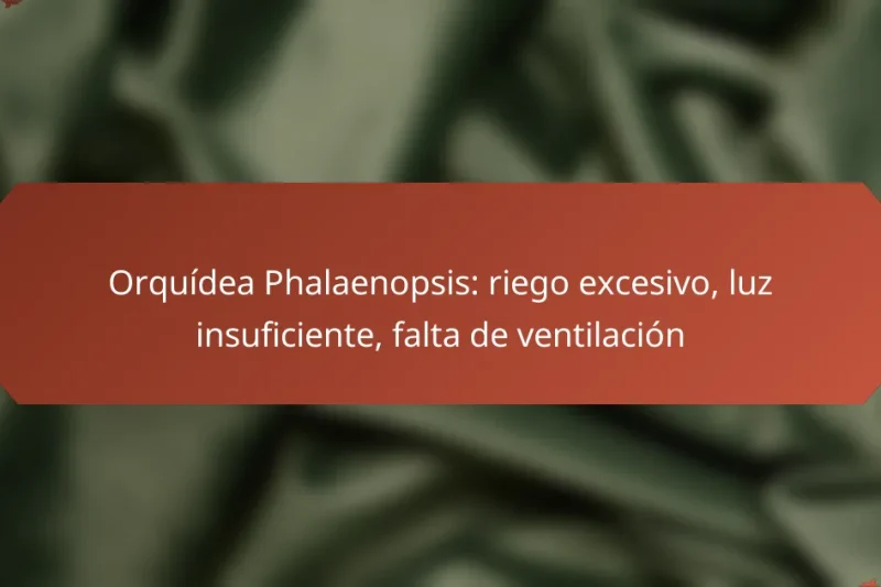Orquídea Phalaenopsis: riego excesivo, luz insuficiente, falta de ventilación