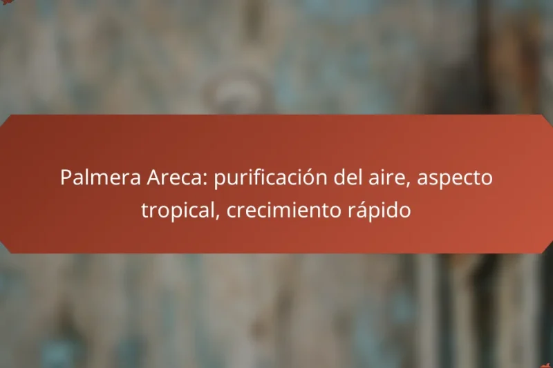 Palmera Areca: purificación del aire, aspecto tropical, crecimiento rápido