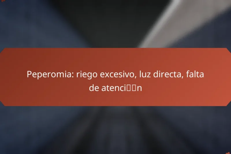 Peperomia: riego excesivo, luz directa, falta de atención