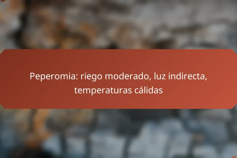 Peperomia: riego moderado, luz indirecta, temperaturas cálidas