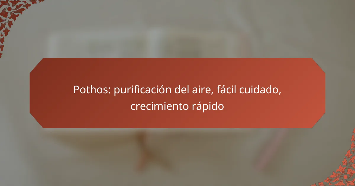 Pothos: purificación del aire, fácil cuidado, crecimiento rápido
