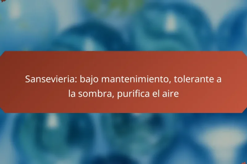 Sansevieria: bajo mantenimiento, tolerante a la sombra, purifica el aire